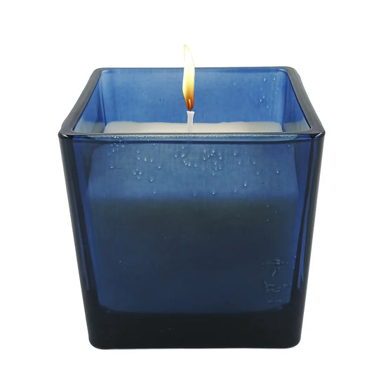 Vela Aromática Frutas Silvestres 200 g Paramount – Blackberry / Amora Silvestre – Aroma Intenso e Sofisticado