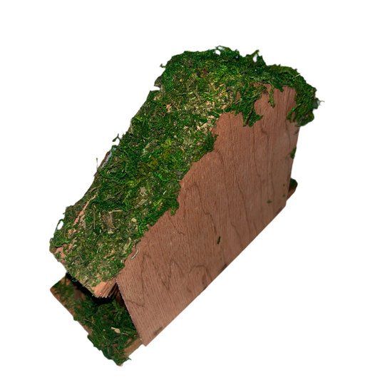 Presépio Natalino Decorativo em Resina | Wincy Natal