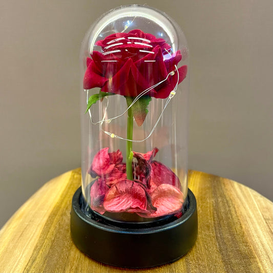 Rosa na Cúpula com LED | Art House