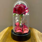Rosa na Cúpula com LED | Art House