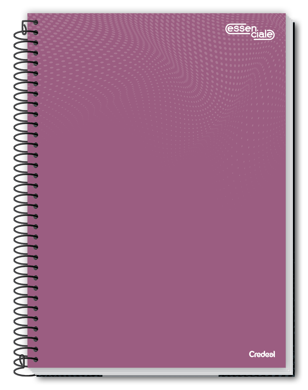Caderno Essenciale | 8 Opções de Capas | Universitário Capa Dura 1 Matéria 80 Folhas | Credeal