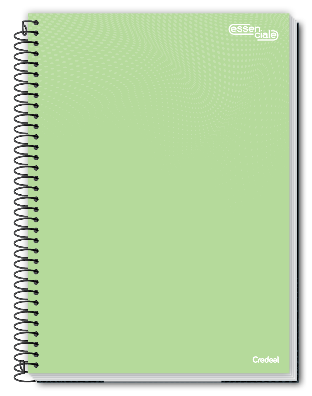 Caderno Essenciale | 8 Opções de Capas | Universitário Capa Dura 1 Matéria 80 Folhas | Credeal