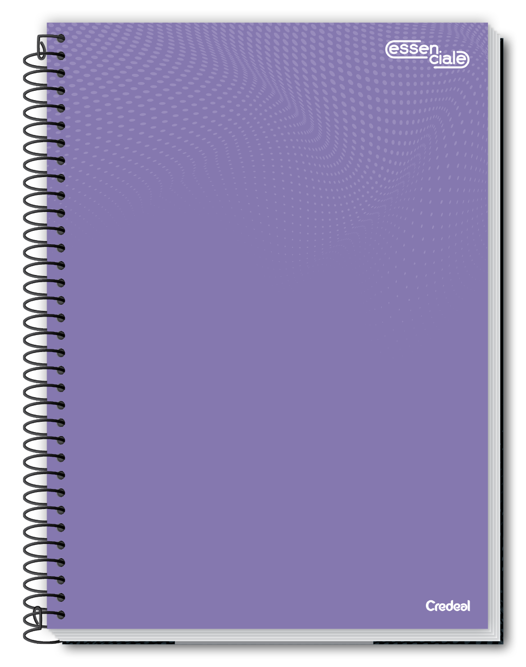 Caderno Essenciale | 8 Opções de Capas | Universitário Capa Dura 1 Matéria 80 Folhas | Credeal
