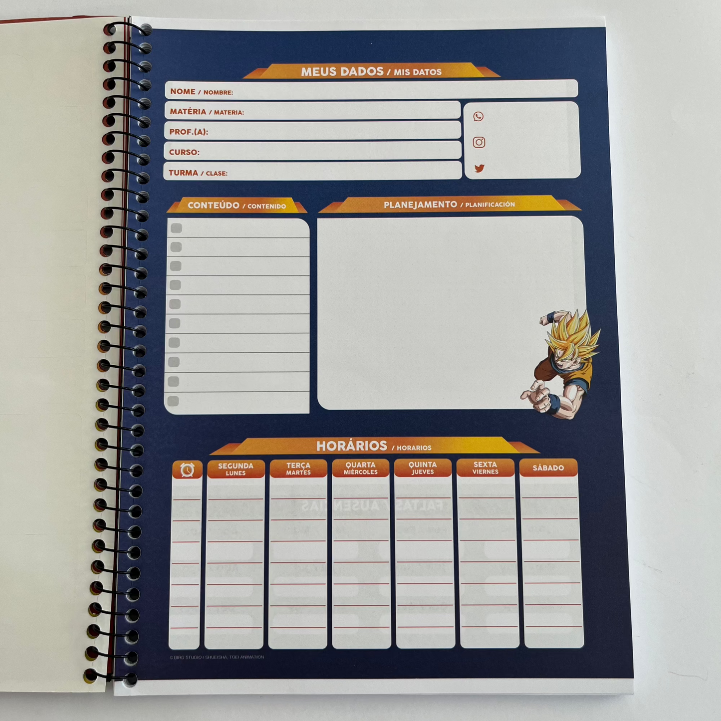 Caderno Dragon Ball Z 10 Matérias 160 Folhas Capa Dura | São Domingos