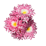 Buquê de Flores Dália Rosa com 7 Flores Sintéticas - 46 cm | FlorArte