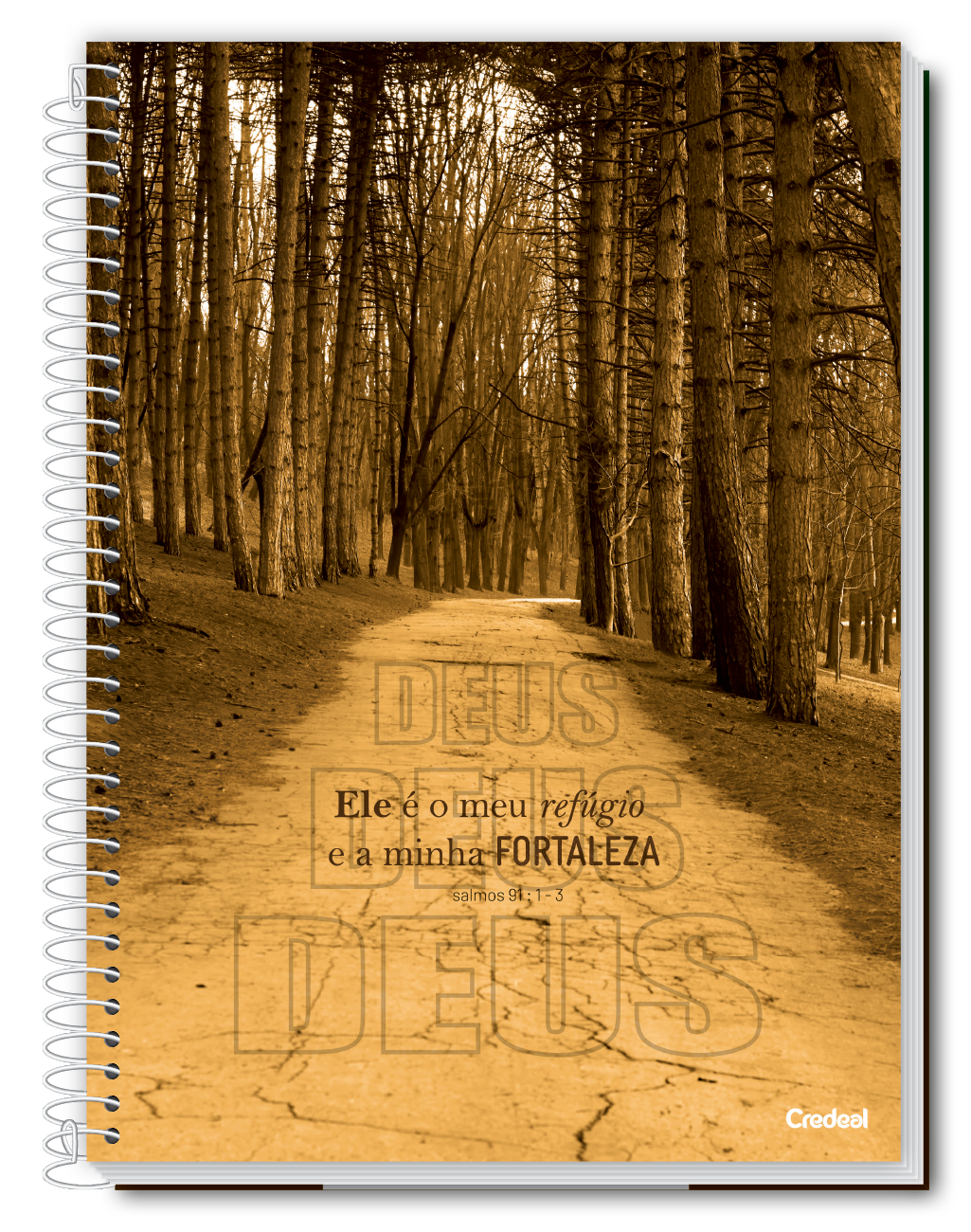 Caderno - Cadernos de Fé | Universitário Capa Dura 1 Matérias 80 Folhas | Credeal